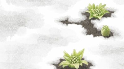 2月19日から「心身ともにソワソワ」する『雨水』。五臓の「肝」が活発になるこの時期に起こりやすい身体のトラブルとは?二十四節気別<暮らし方><養生><旬のもの>