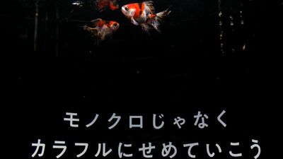 横浜中華街「横浜開運水族館フォーチュンアクアリウム」おみくじの占いに従い88の水槽を巡った先にある衝撃的なものとは?