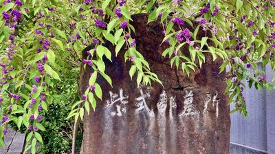 『光る君へ』中宮という高い地位の彰子に教養を授けた紫式部。続きが読みたくて道長が下書きを盗んだ『源氏物語』は帝への特別な贈り物だった【2025編集部セレクション】